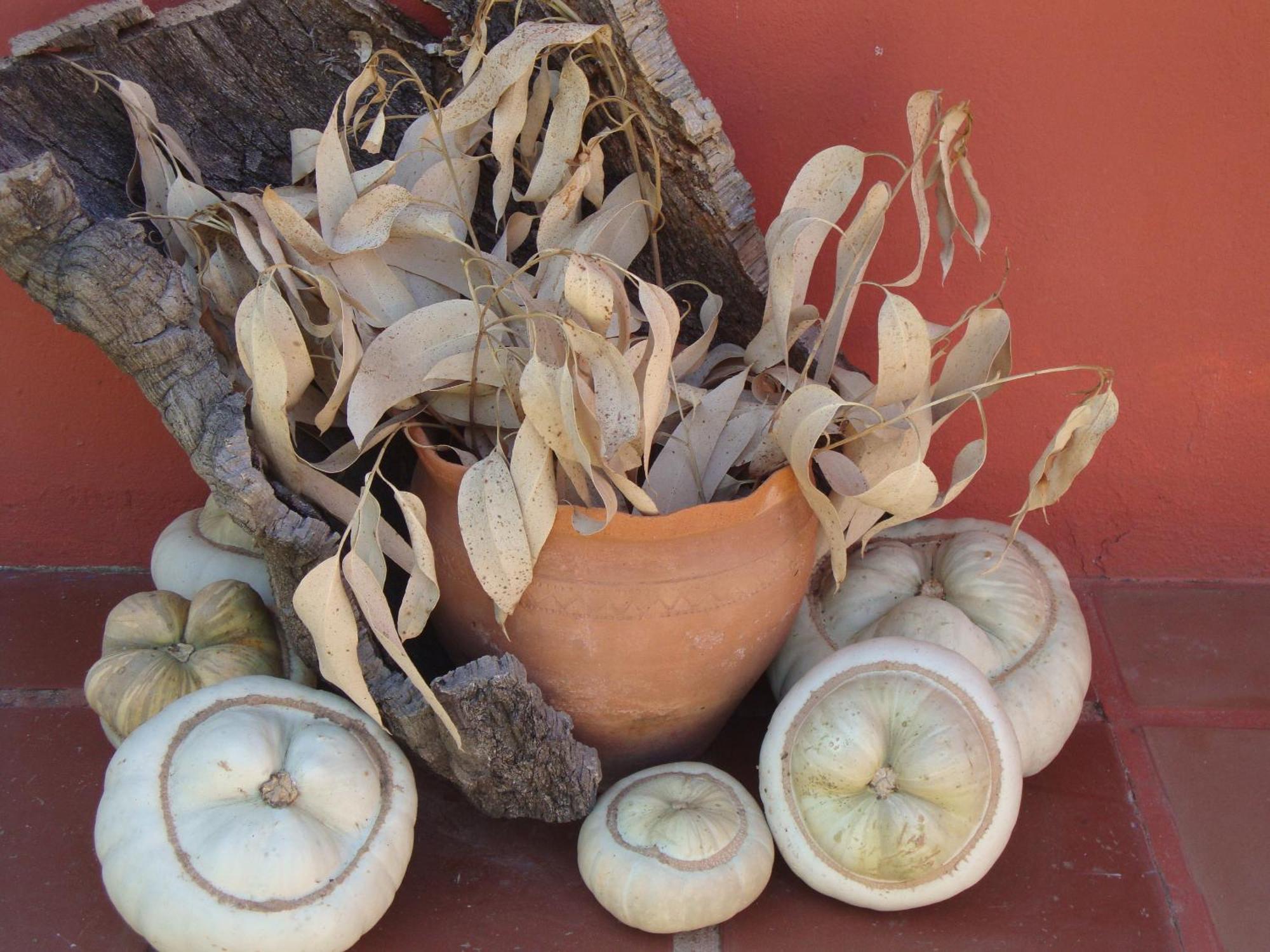 Verdemar Cercal do Alentejo Экстерьер фото