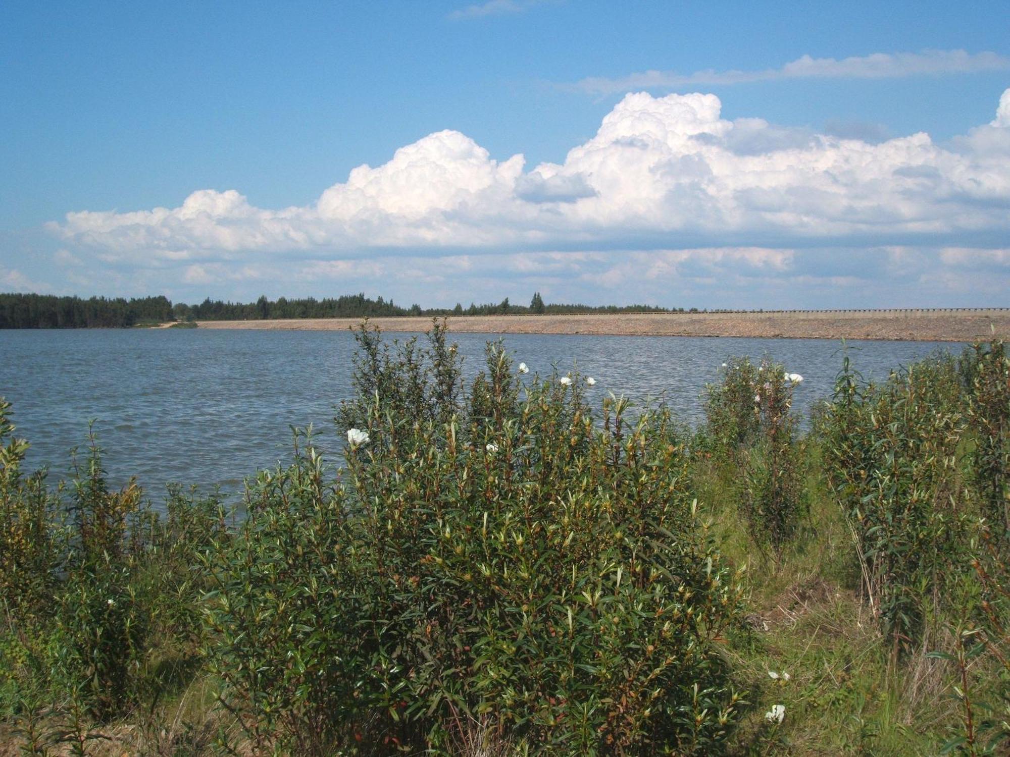 Verdemar Cercal do Alentejo Экстерьер фото
